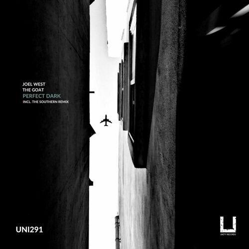 image cover: Joel West - Perfect Dark on Unity Records