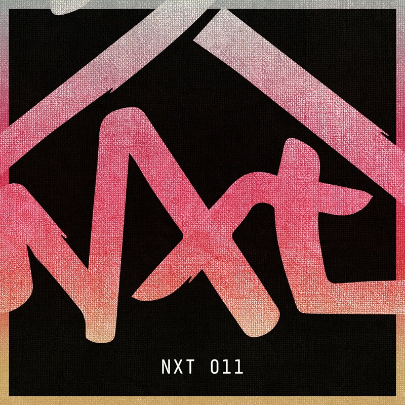 image cover: Rich NxT - Too Vibe EP on NXT Records