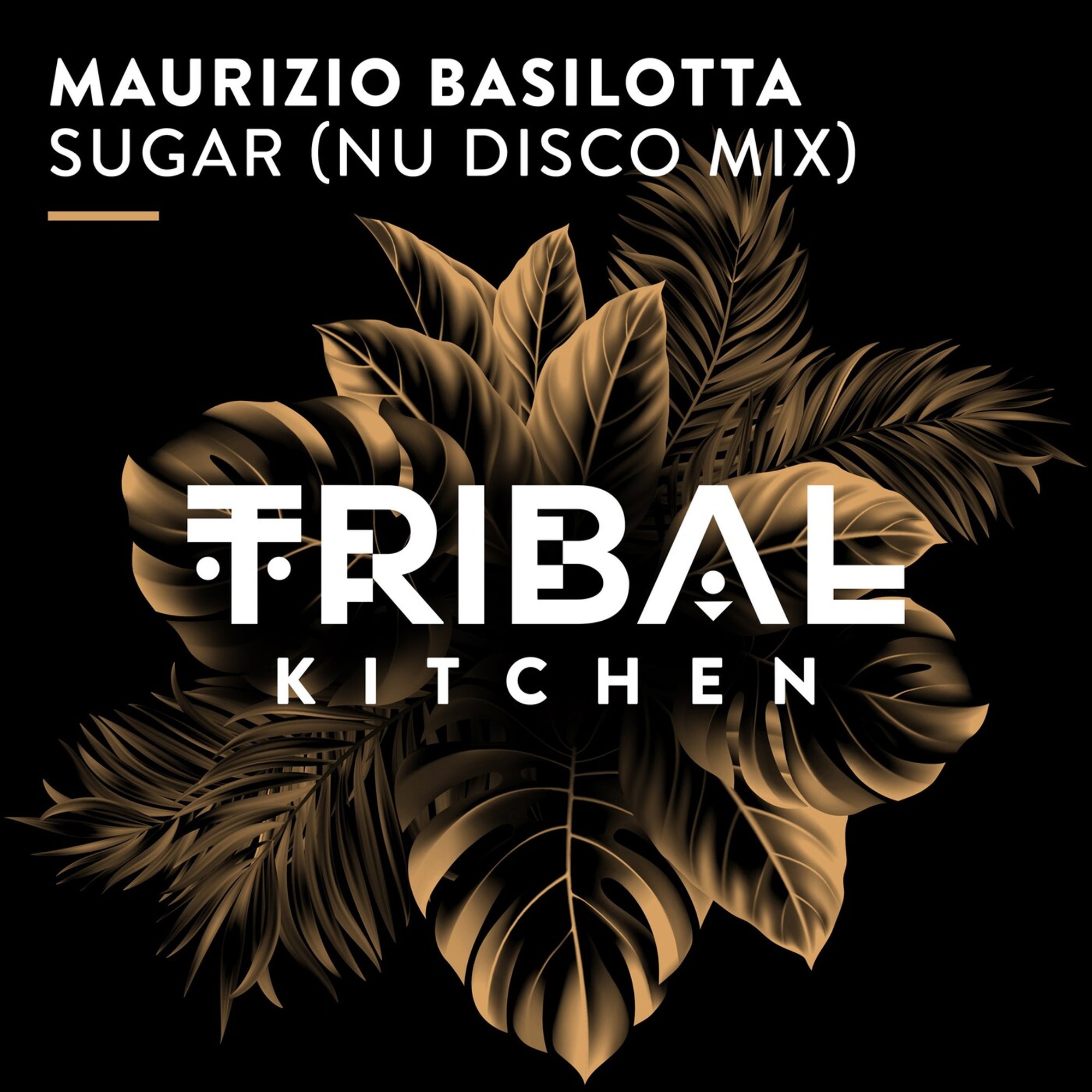 image cover: Maurizio Basilotta - Sugar (Nu Disco Mix) on Tribal Kitchen