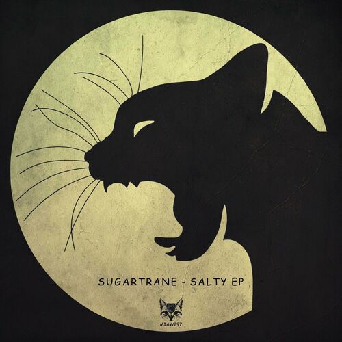 Release Cover: Salty EP Download Free on Electrobuzz