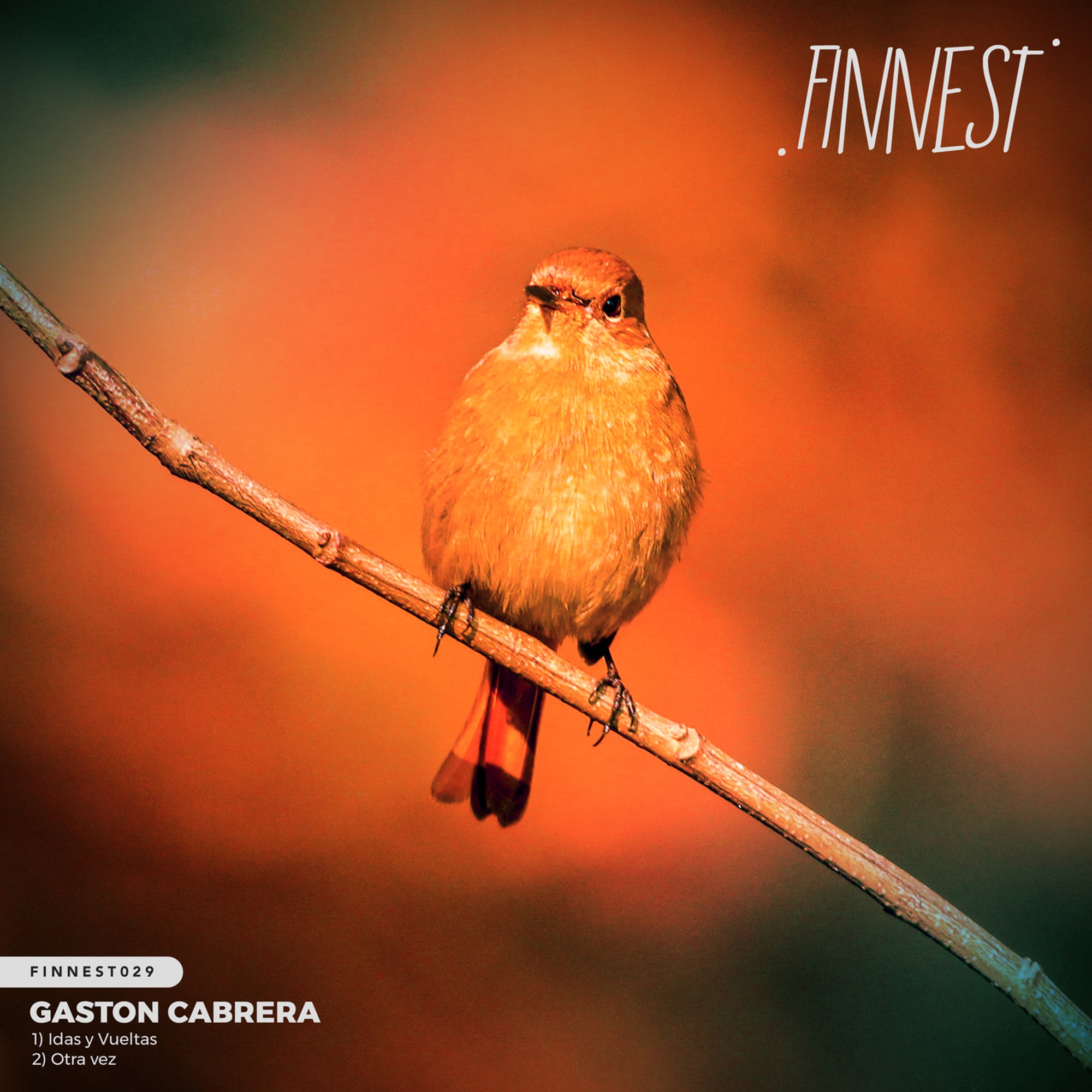 image cover: Gaston Cabrera - Idas y Vueltas on FINNEST