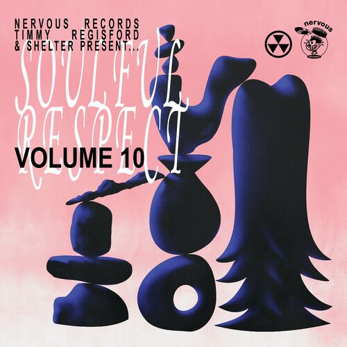 Release Cover: Soulful Respect, Vol. 10 Download Free on Electrobuzz