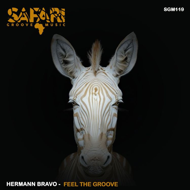 image cover: Hermann Bravo - Feel The Groove on Safari Groove Music