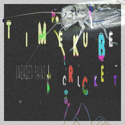 image cover: TimeKube - Cricket on Kneaded Pains