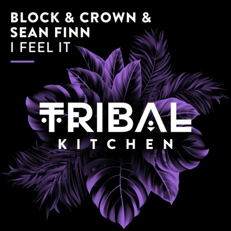 image cover: Block & Crown - I Feel It on Tribal Kitchen