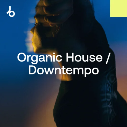 image cover: Amsterdam Dance Event 2024: Organic H / D