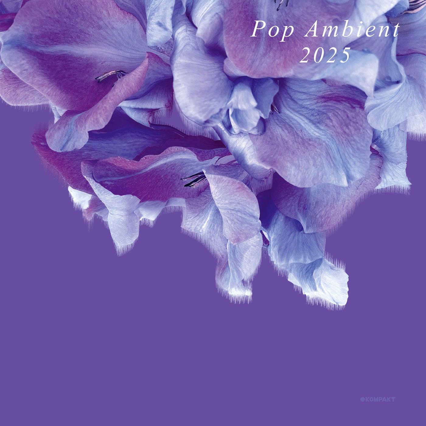 Cover Image for VA - Pop Ambient 2025 on Kompakt