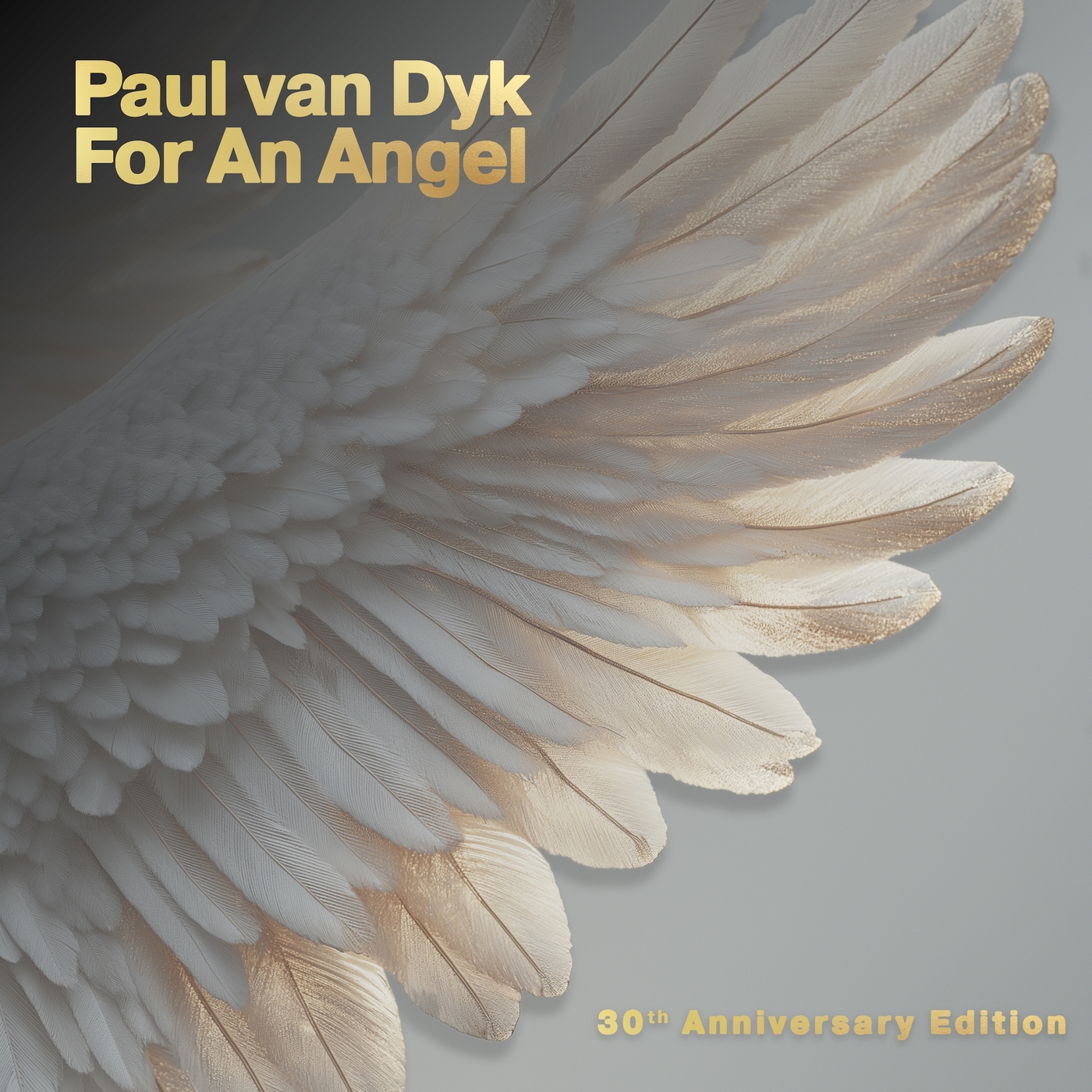 Release Cover: For An Angel (30th Anniversary Edition) Download Free on Electrobuzz