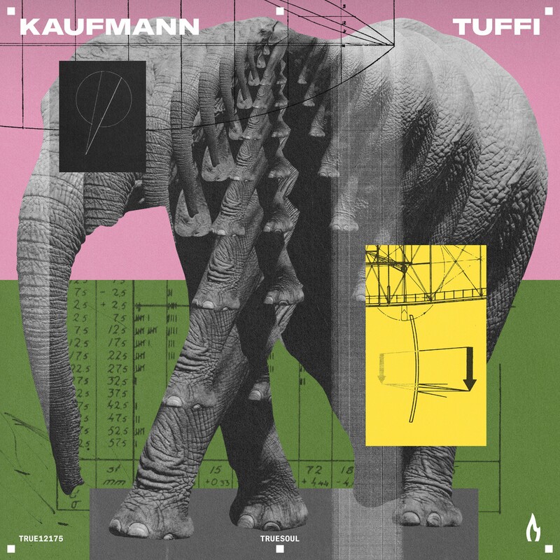 image cover: Kaufmann (DE) - Tuffi on (Truesoul)