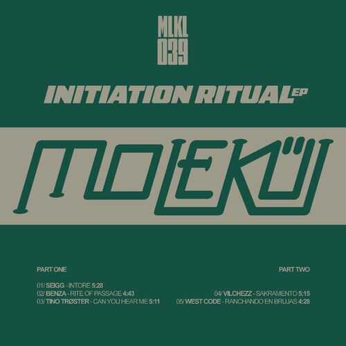 image cover: Various Artists - Initiation Ritual on Molekül