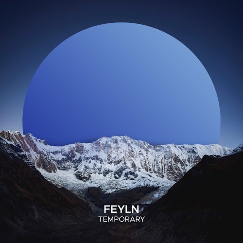 image cover: Feyln - Polarity on (Memoria Recordings)