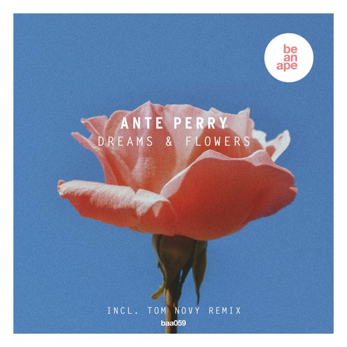 image cover: Ante Perry - Dreams & Flowers on (be an ape)