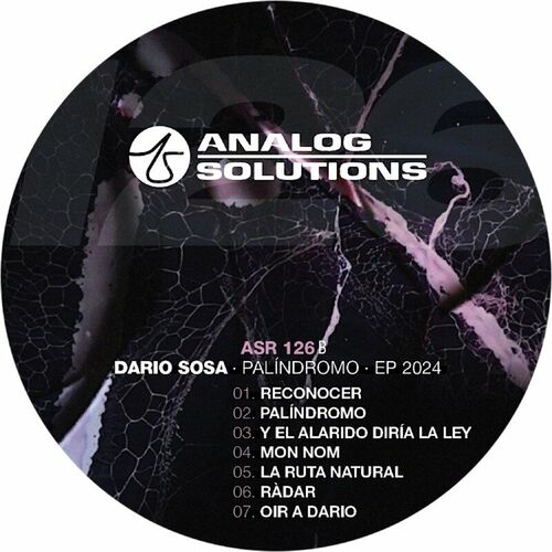 image cover: Darìo Sosa - Palidromo on Analog Solutions