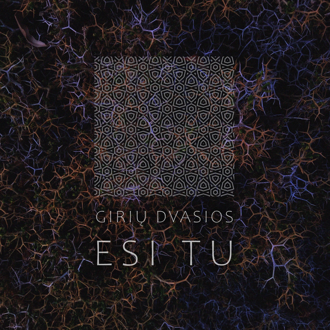 image cover: Giriu Dvasios - Esi Tu on (Cold Tear Records)