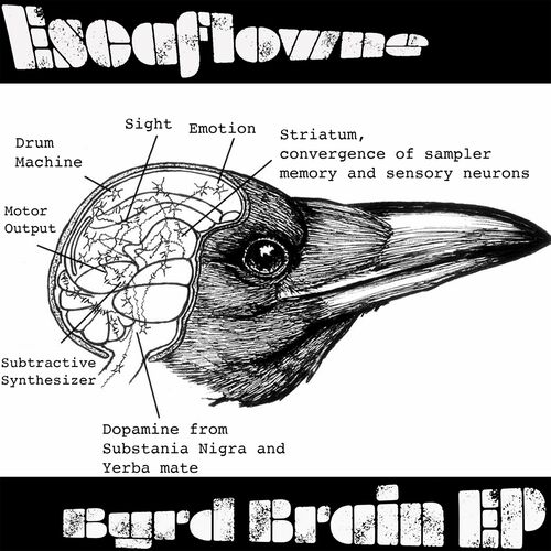 image cover: Escaflowne - Byrd Brain on Substandard Deviations