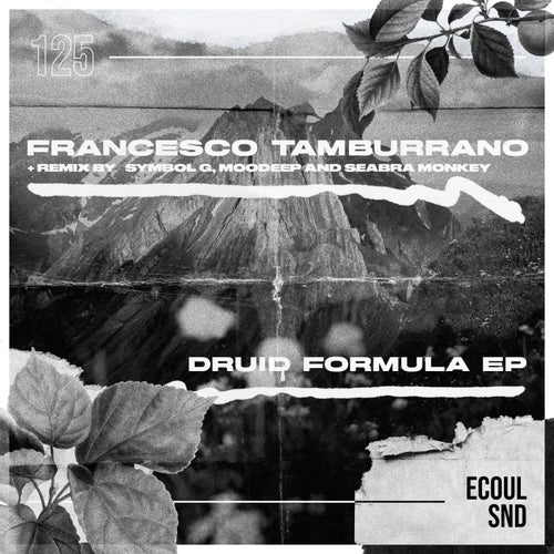 image cover: Francesco Tamburrano - Druid Formula on (ECOUL SND)