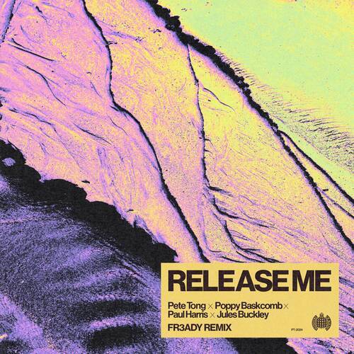 image cover: Paul Harris, Pete Tong, Jules Buckley, Poppy Baskcomb - Release Me (FR3ADY Extended Remix) on Ministry of Sound Recordings