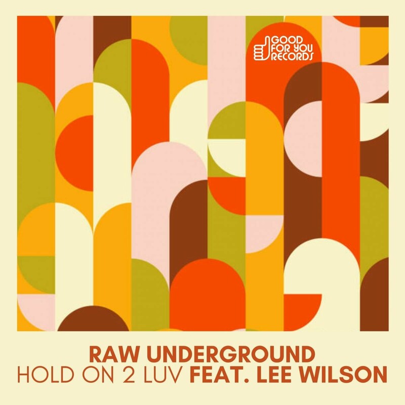 Release Cover: Hold On 2 Luv Download Free on Electrobuzz