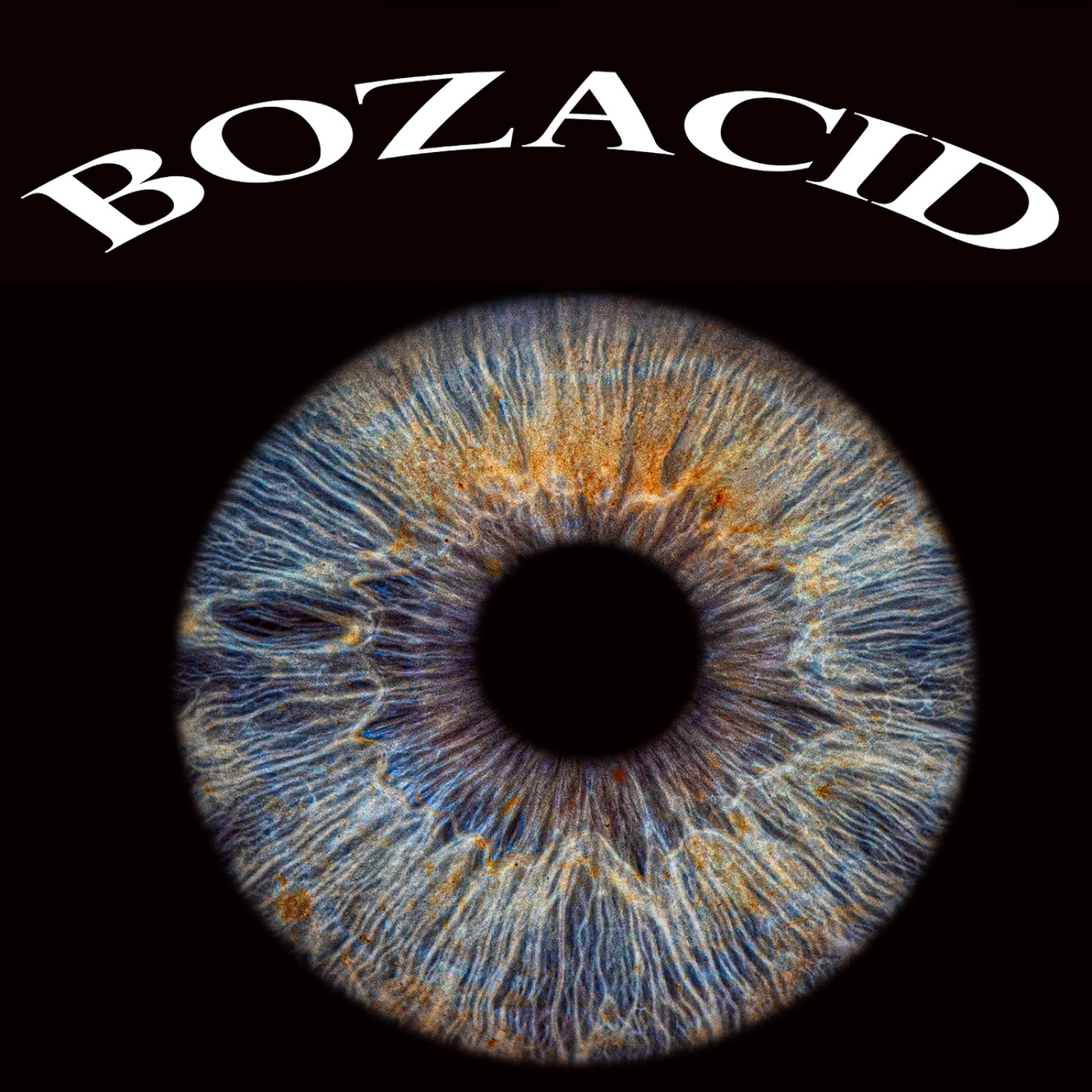 image cover: Bozacid - Brainwashed on TuneCore