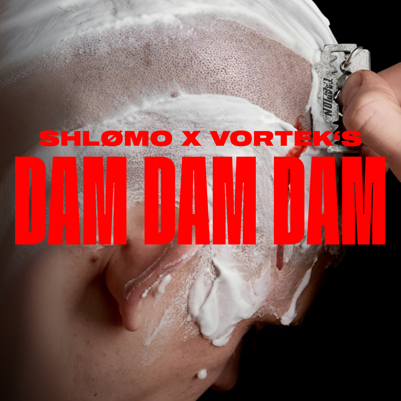 image cover: Shlomo, Vortek's - Dam Dam Dam on Taapion