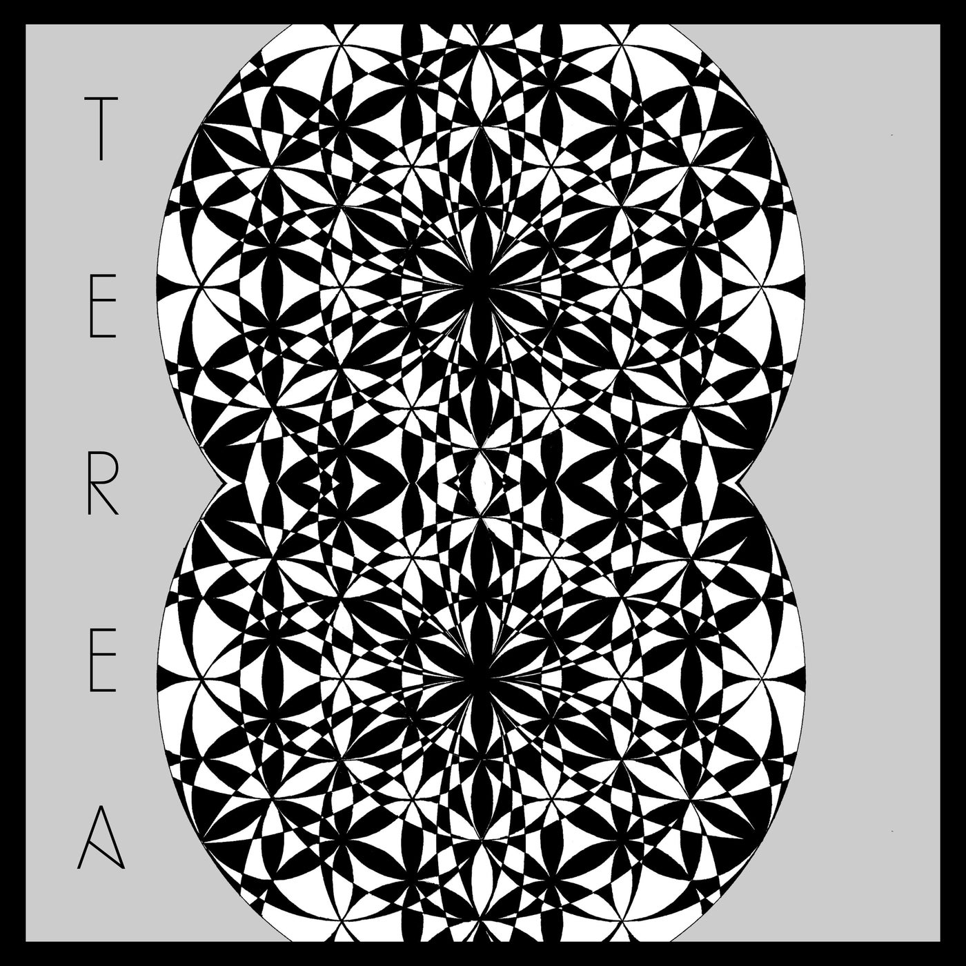 image cover: VA - Terea on Histo Records