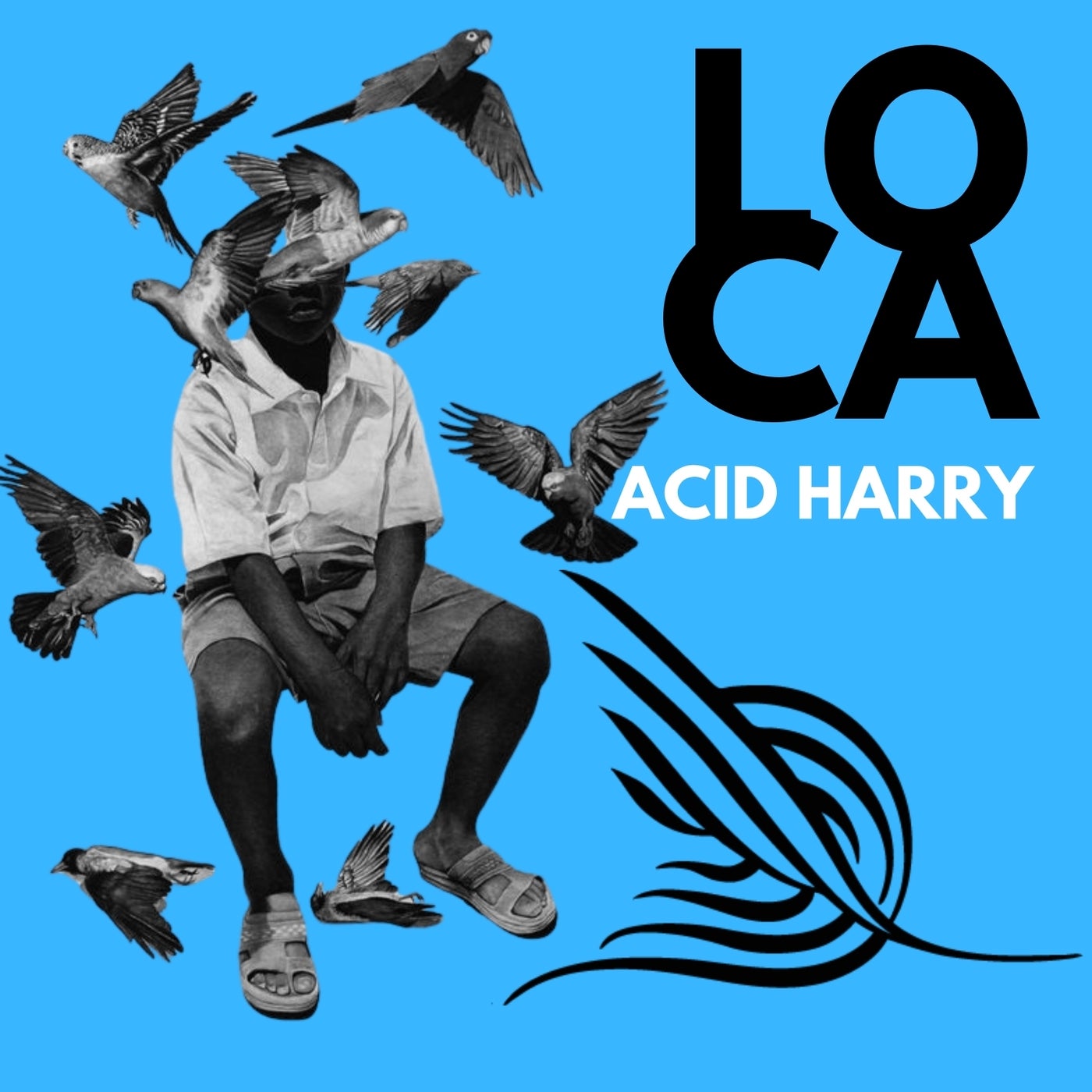 image cover: ACID HARRY - Loca on Alleanza