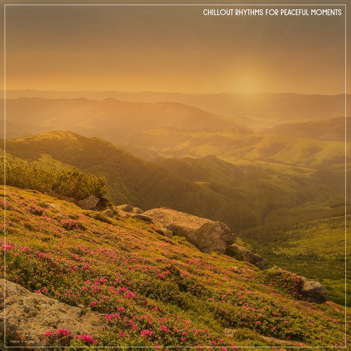 image cover: VA - Chillout Rhythms for Peaceful Moments on Nidra Music