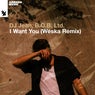 Cover Image for I Want You Weska Extended Remix