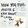 Cover Image for How You Feel Original Mix