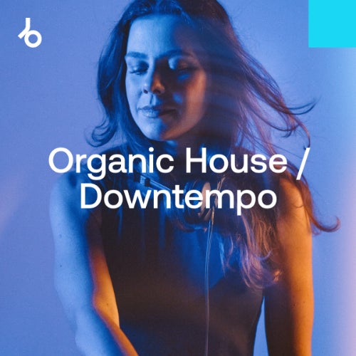 image cover: Beatport - Hype Chart Toppers 2024: Organic H / D