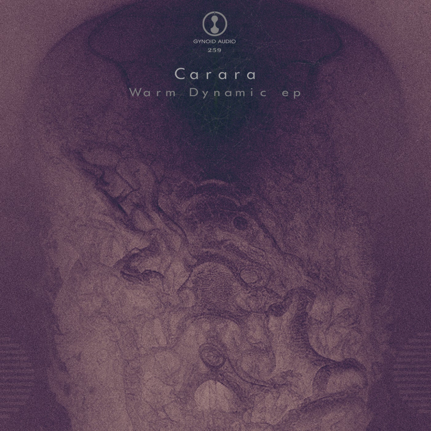 image cover: Carara - Warm Dynamic EP on Gynoid Audio