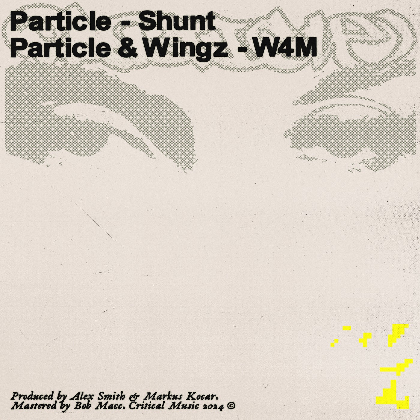 image cover: Particle, Wingz - Shunt / W4M on Critical Music