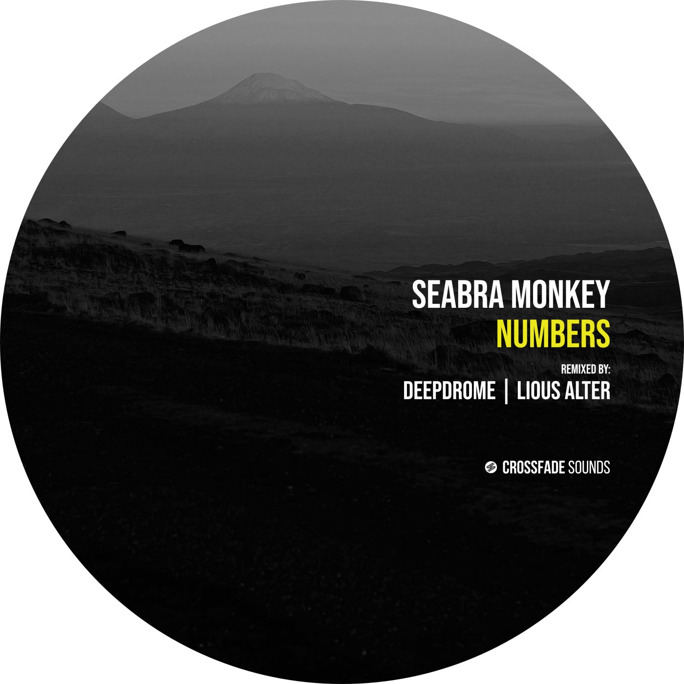 image cover: Seabra Monkey - Numbers on Crossfade Sounds