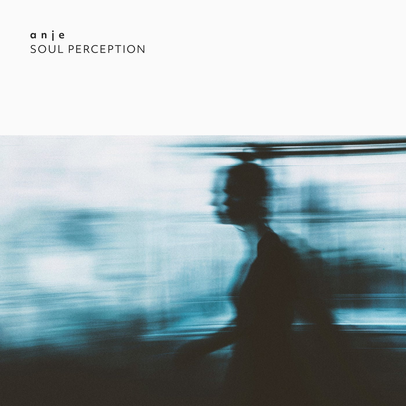 Cover Image for a n j e - Soul Perception on Indefinite Pitch