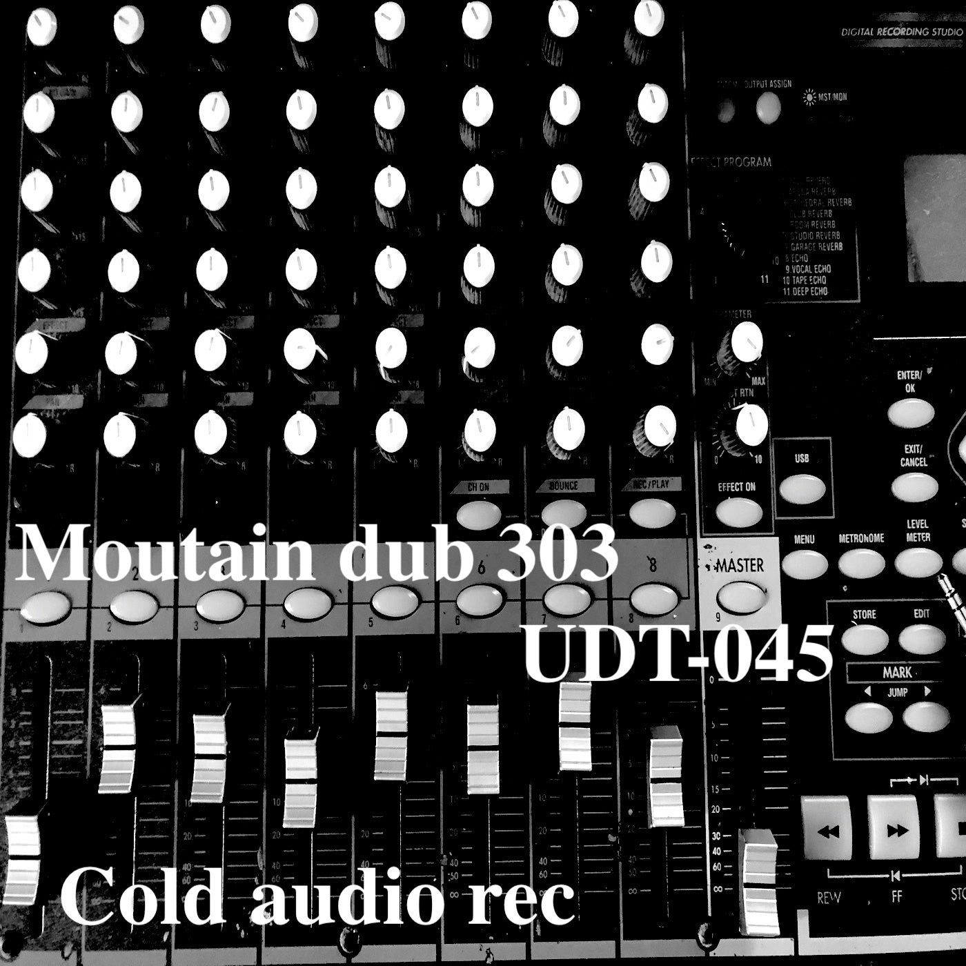 image cover: Cold Audio Rec - Mountain dub 303 on Oyoda Recordings