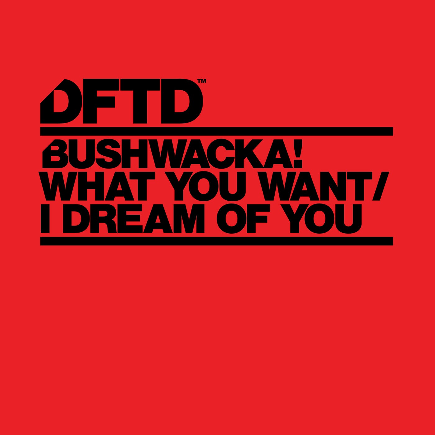 image cover: Bushwacka! - What You Want / I Dream Of You on DFTD