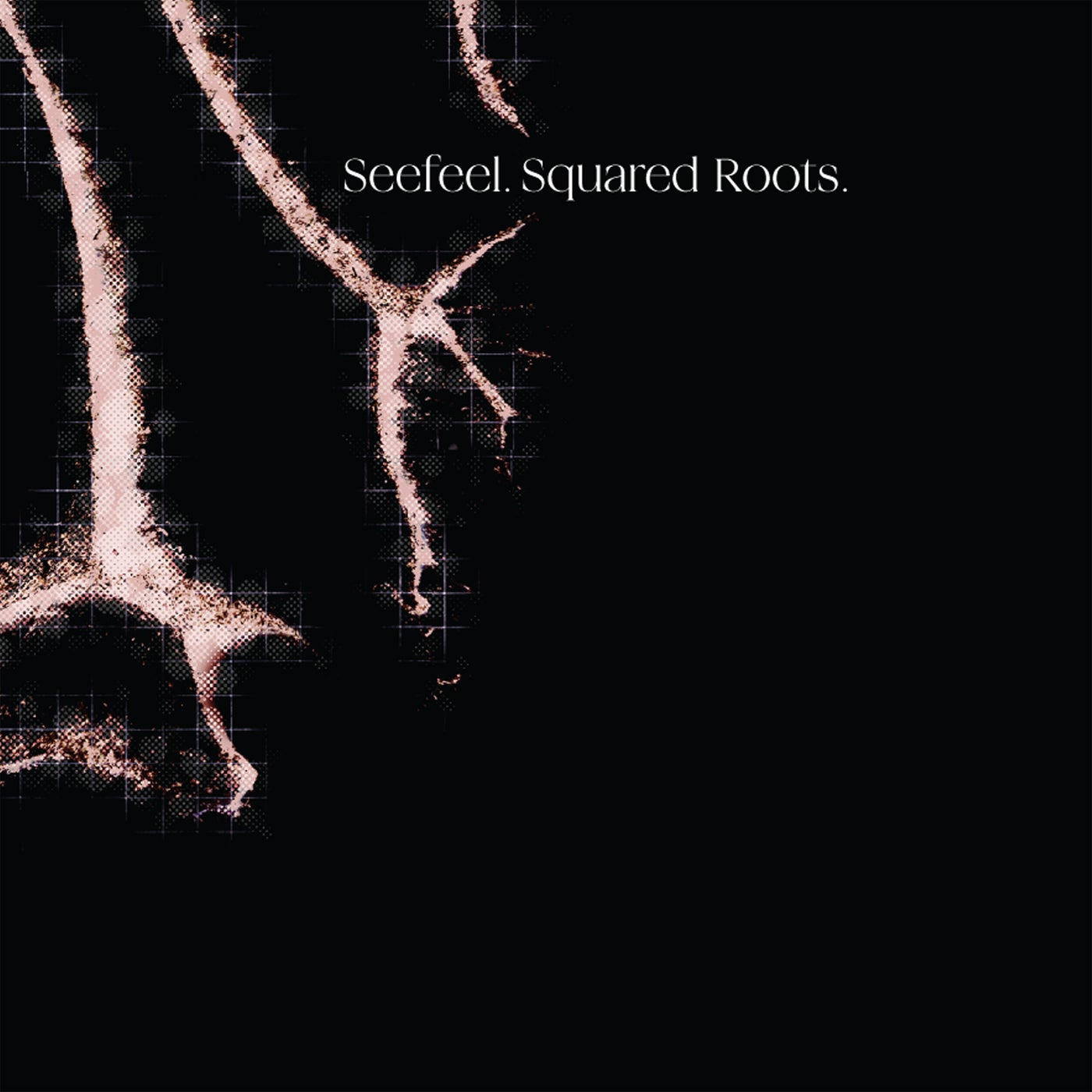 image cover: Seefeel - Squared Roots on Warp Records