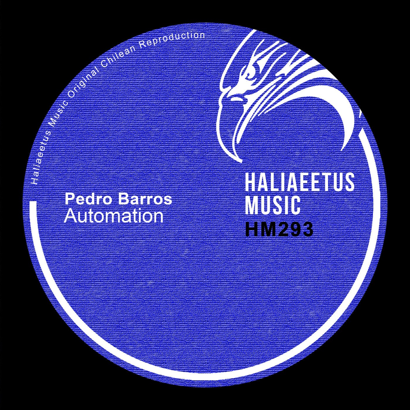 image cover: Pedro Barros - Automation on Haliaeetus Music