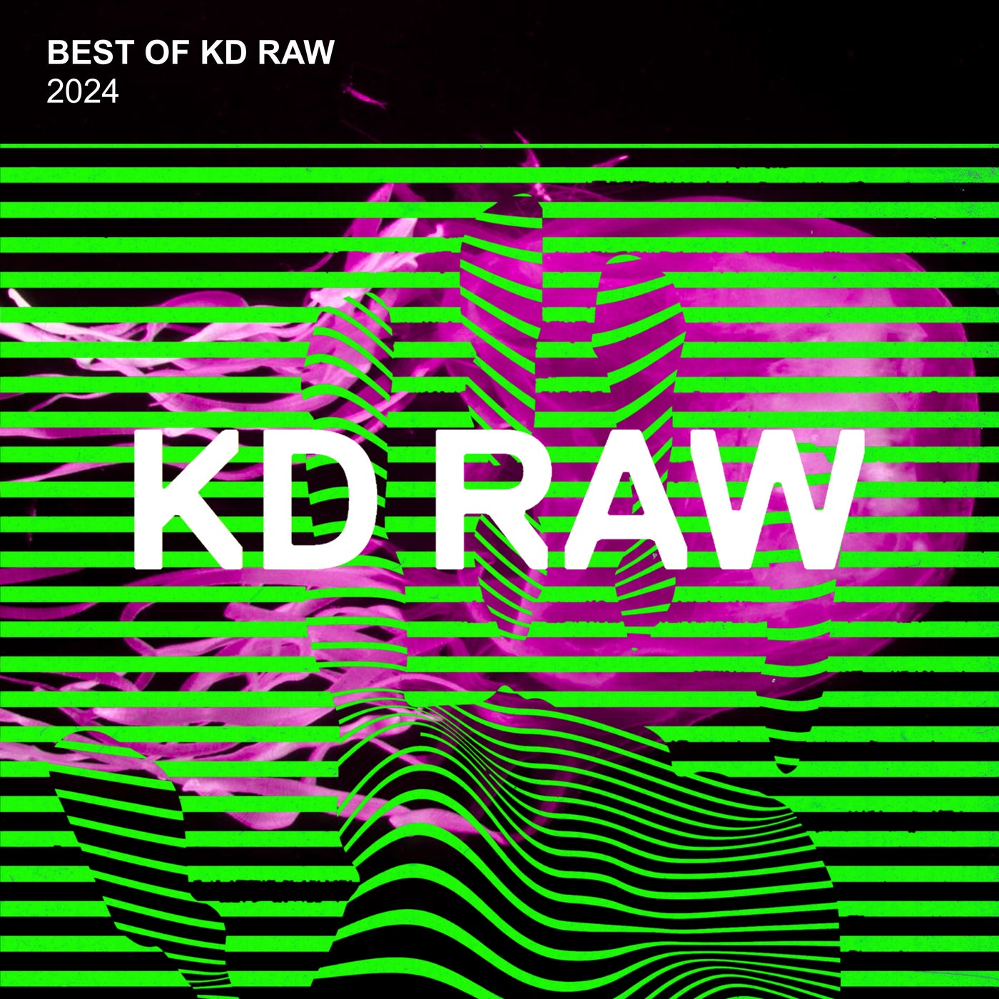 image cover: VA - Best Of KD RAW 2024 on KD RAW