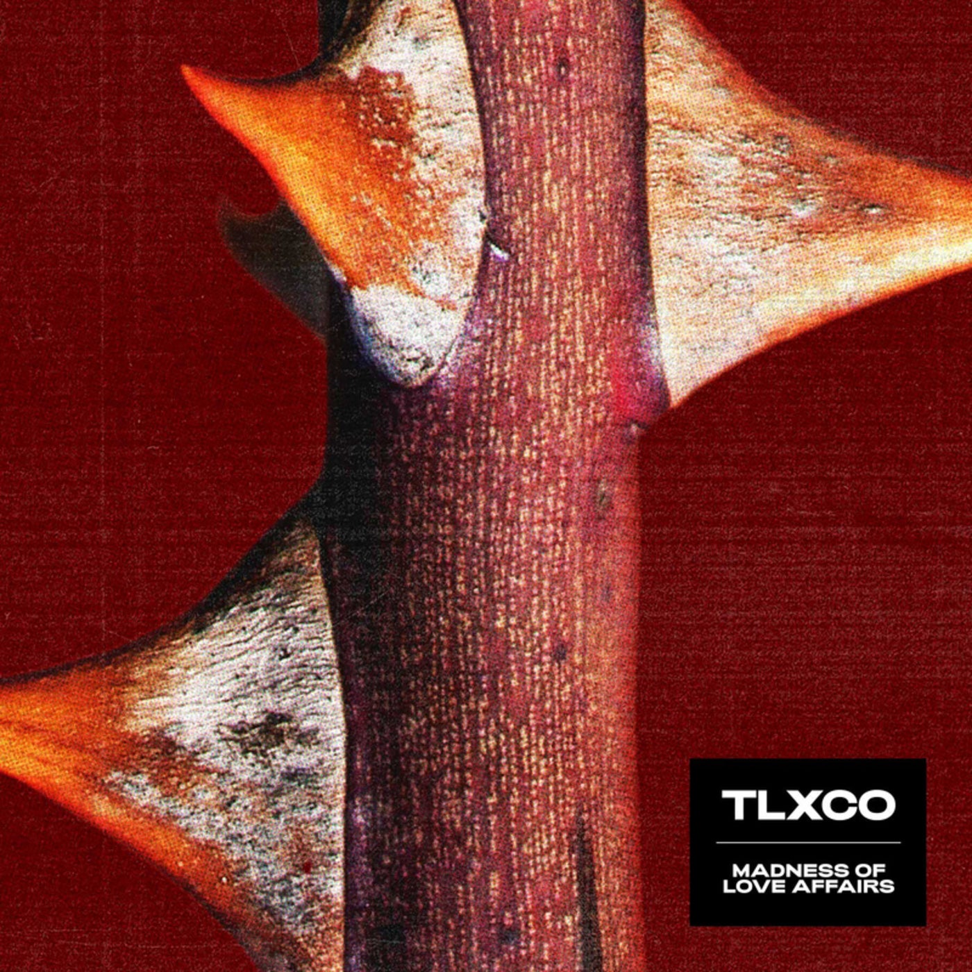 image cover: TLXCO - Madness of Love Affairs on Selvamancer