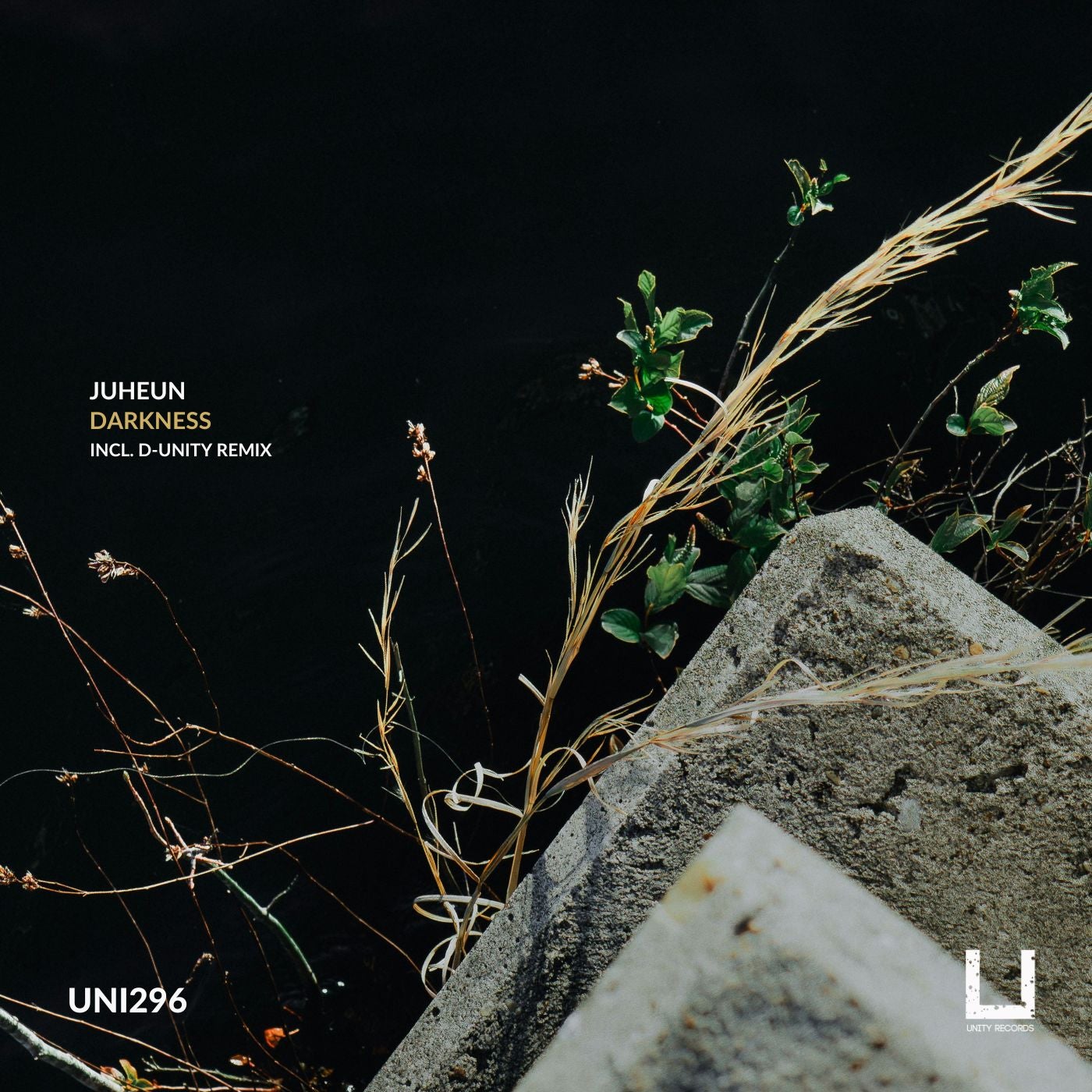 image cover: Juheun - Darkness on Unity Records