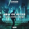 Cover Image for Now Or Never Craig Connelly Extended Remix