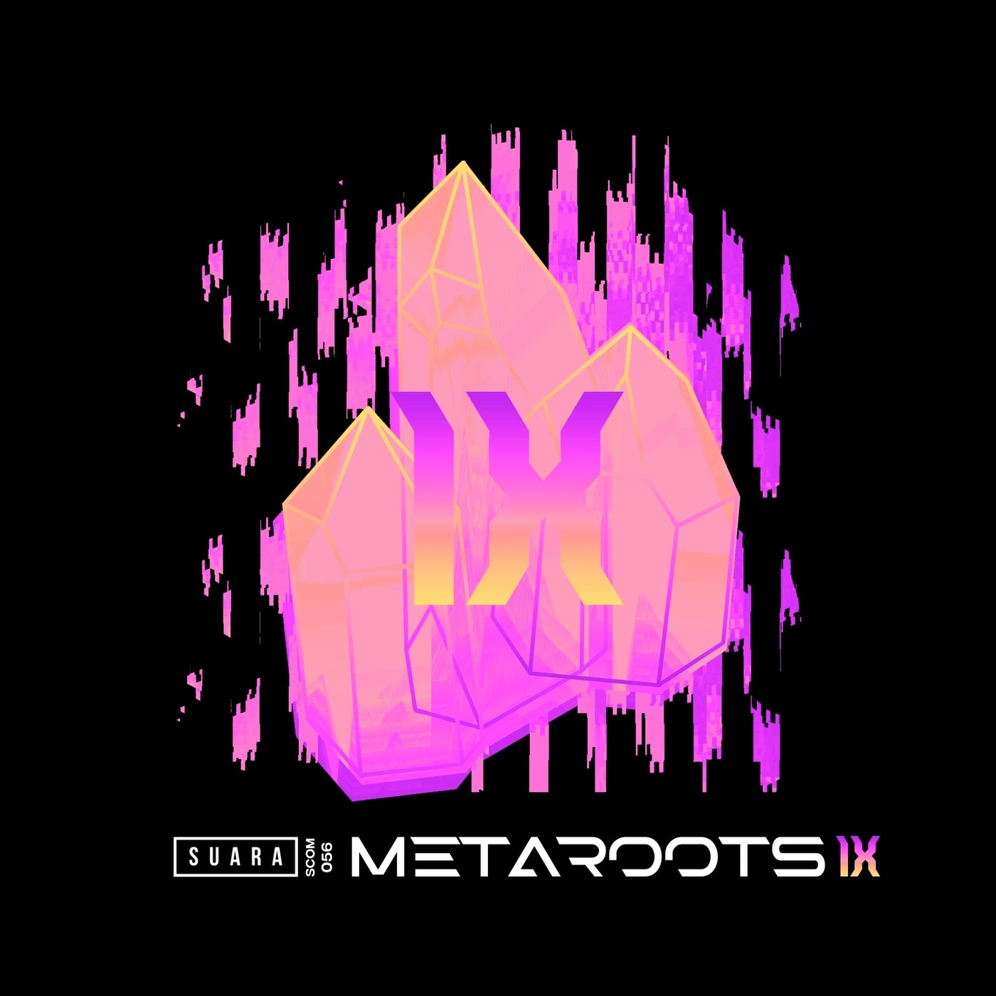 Cover Image for VA - Metaroots 9 on Suara