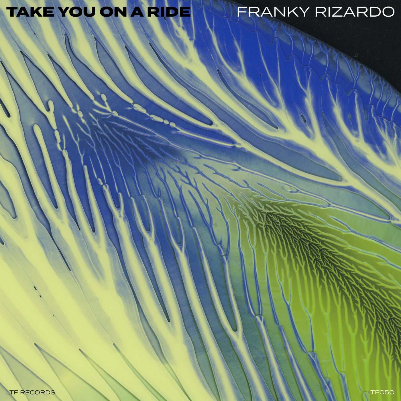 image cover: Franky Rizardo - Take You On A Ride - Original Mix on LTF Records