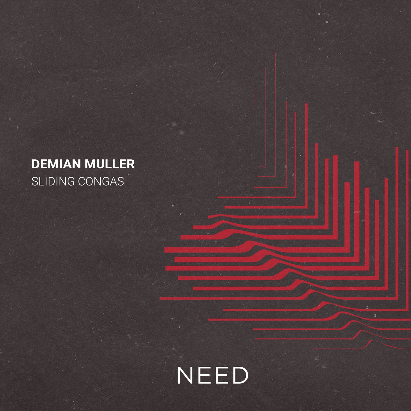 image cover: Demian Muller - Sliding Congos on NEED