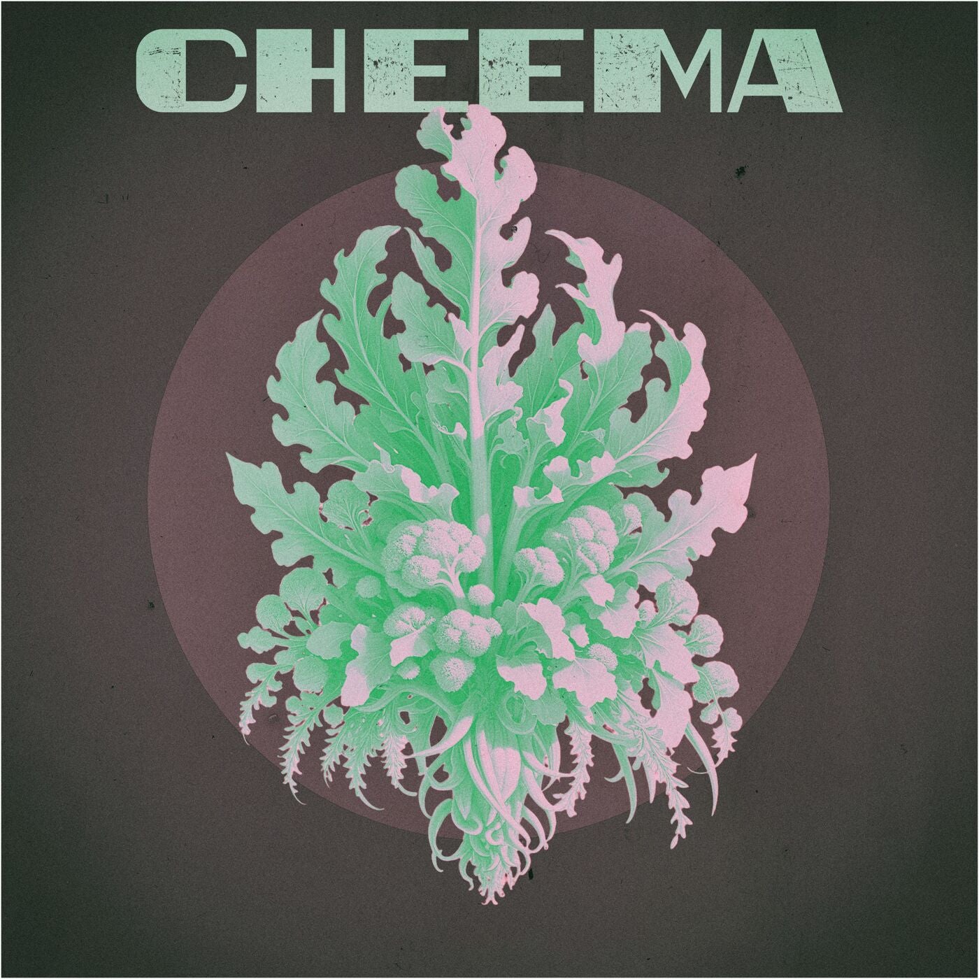 Cover Image for Cheema (IT) - Damme La Drette on Connaisseur Recordings