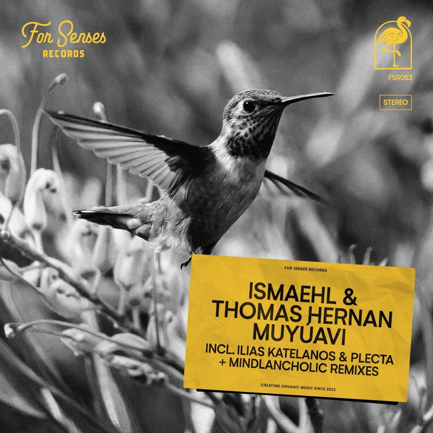 image cover: Ismaehl, Thomas Hernan - Muyúavi on For Senses Records