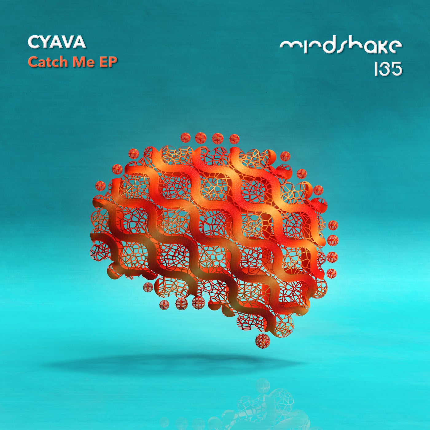 image cover: Cyava - Catch Me on Mindshake Records