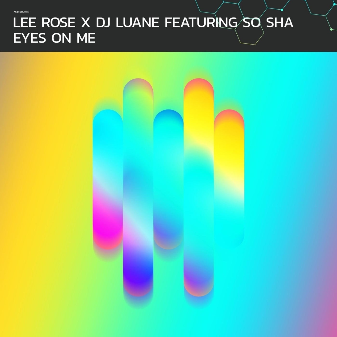 image cover: Dj Luane, Lee Rose - Eyes on Me on Acid Dolphin