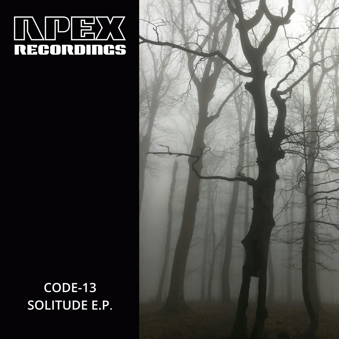 image cover: CODE-13 - Solitude E.P. on Apex Recordings